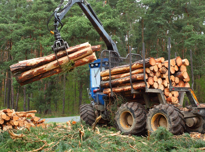 Forestry Equipment Finance